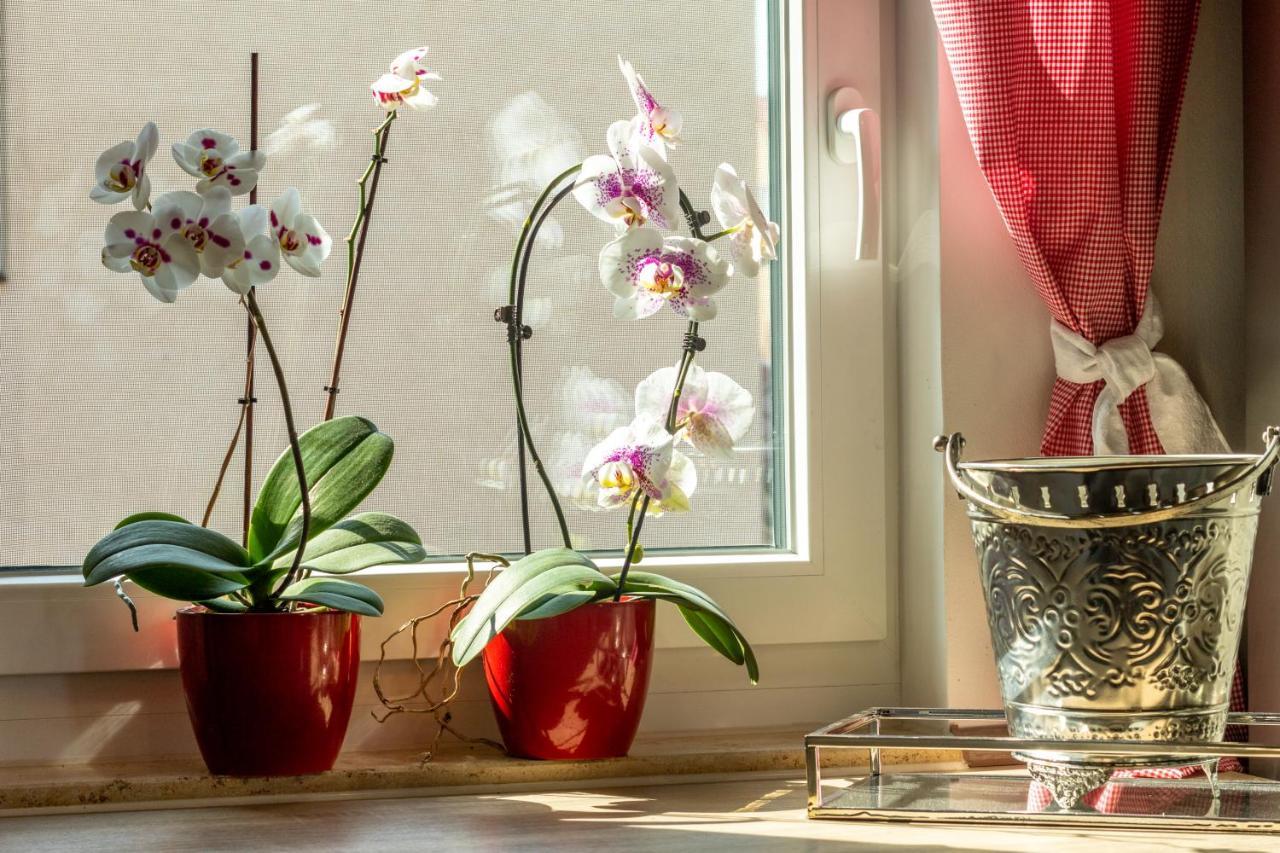 Ferienwohnung Jenzigblick Jena Buitenkant foto